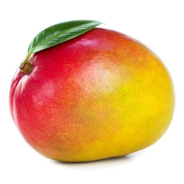 Foto mango