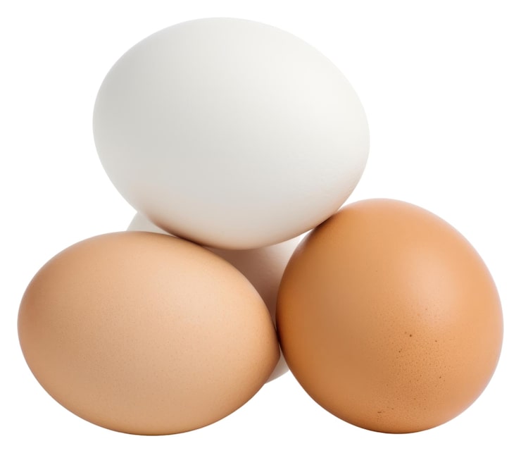 Foto png hvite egg eggekartong mat