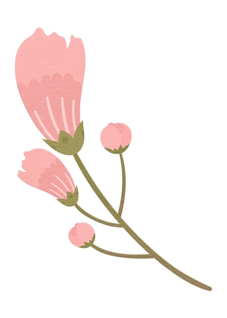 Foto png rosa vårblomst designelement