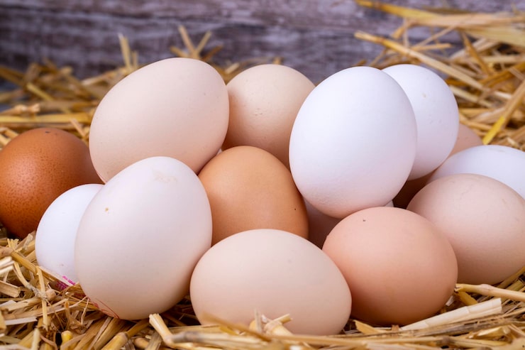 Foto rå egg i tørt halm. matkonseptbilde.