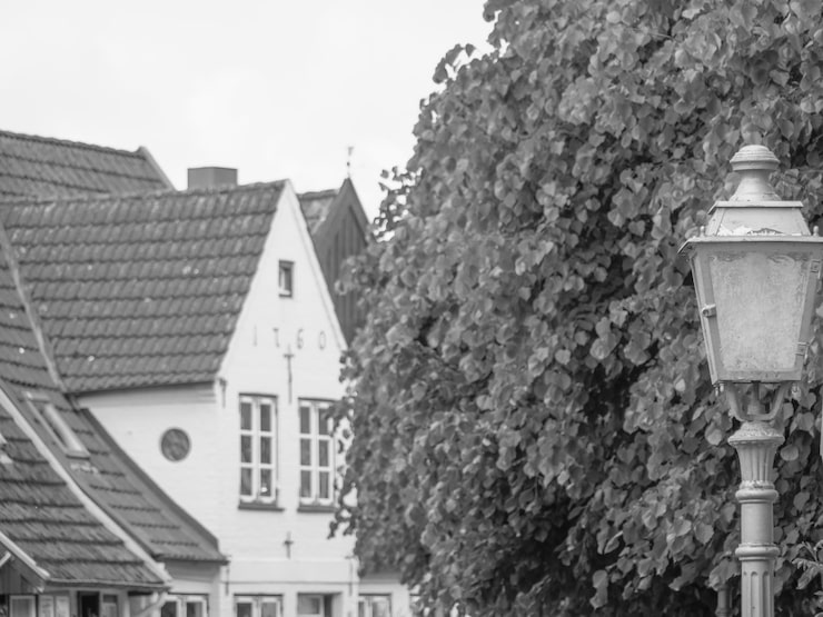 Foto schleswig
