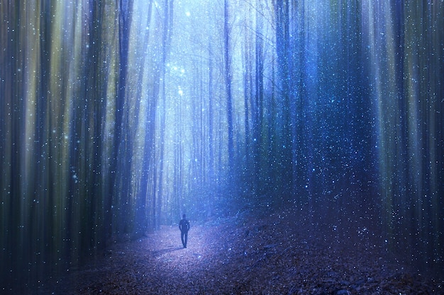 Photo シュールな森を歩く男