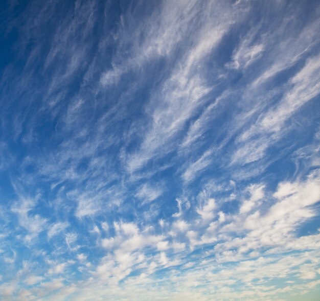 Foto witte wolken .