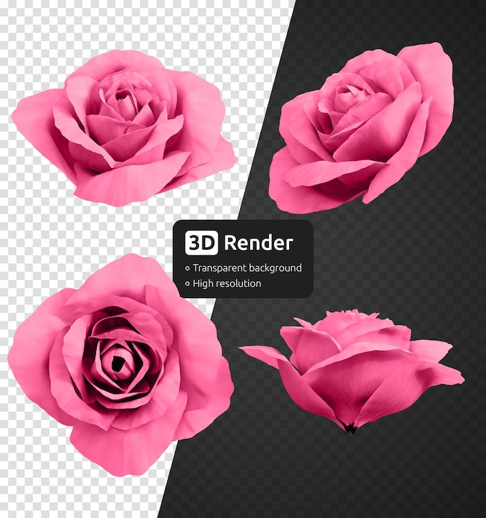 PSD 3d rosa roseblomstknopper