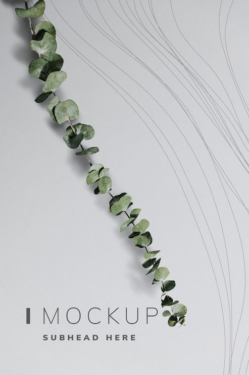 PSD affisch mockup med eukalyptusblad
