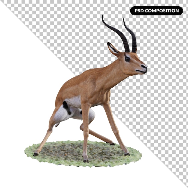 PSD ceylan hayvanı izole edilmiş 3d