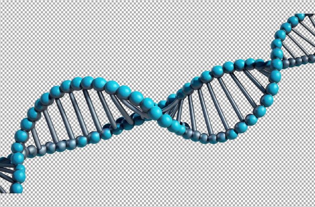 PSD dna-struktur definerer livets molekylære plan