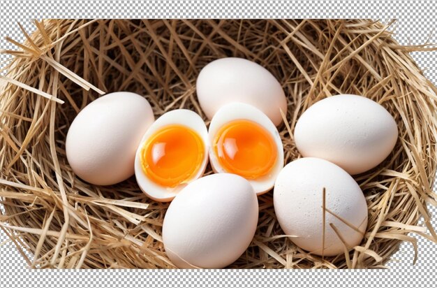 PSD egg i halm klar for klekking
