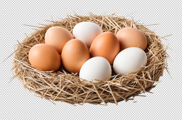 PSD egg i strå venter på varme