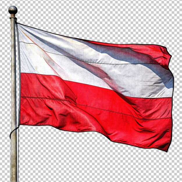 PSD ilustracja flagi polski
