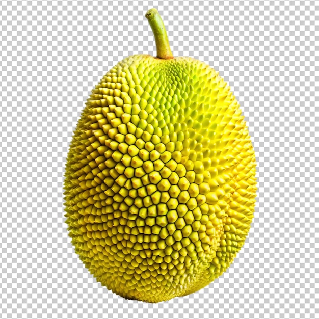 PSD jackfruit
