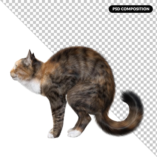 PSD kissa eläin eristetty 3d-renderöidä