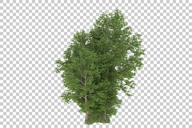 PSD metsä läpinäkyvällä taustalla. 3d-renderöidä – kuvitus