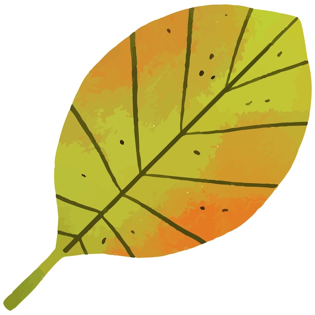 PSD naturvegetasjon og botanisk element