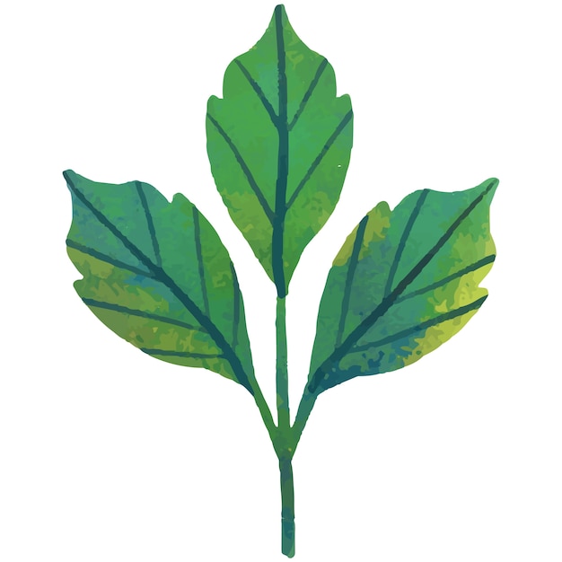 PSD naturvegetasjon og botanisk element