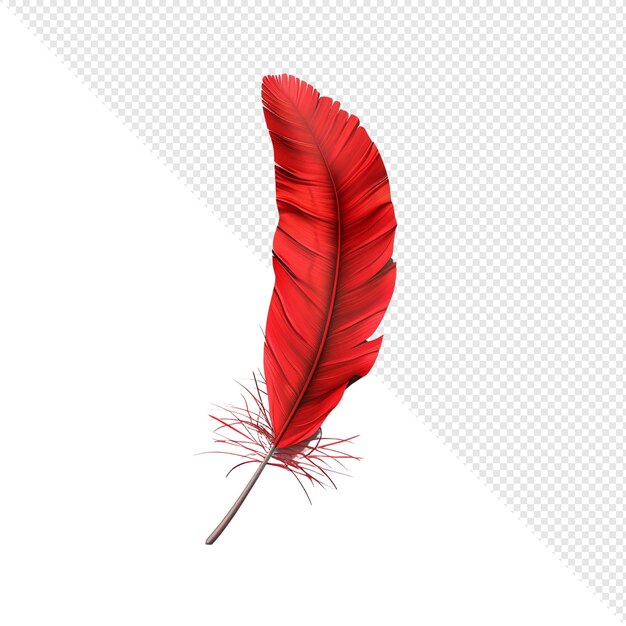 PSD red feather