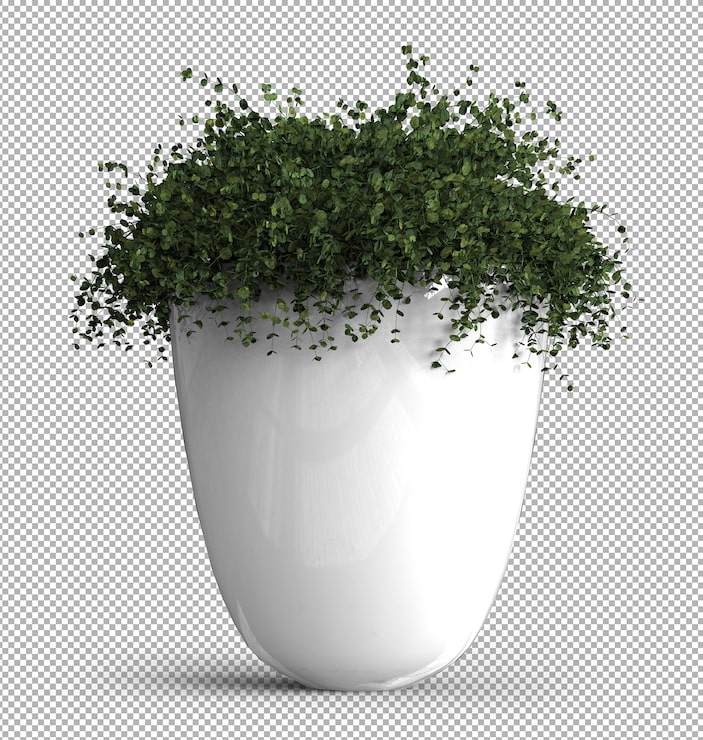 PSD render af isoleret plante. isometrisk frontvisning. . 3d.