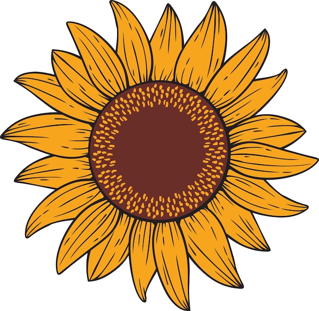 PSD solrosblomma