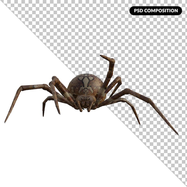 PSD 蜘蛛隔离 3d 渲染