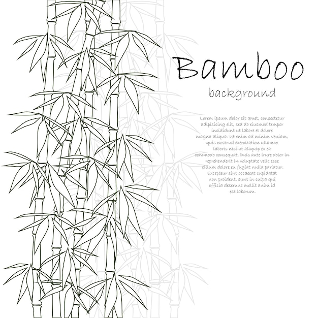 Vector bamboe achtergrond wit