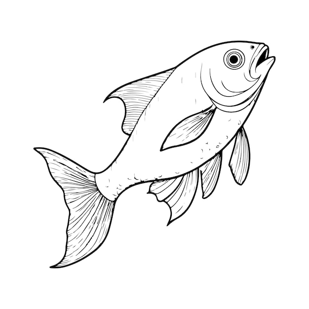 Vector fish vector line art tekening op een geïsoleerde witte achtergrond