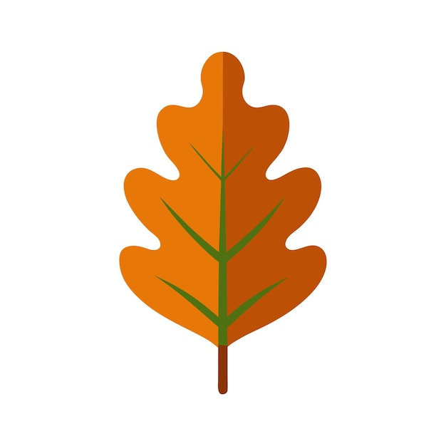 Vector illustratie van eikenblad vectorpictogram