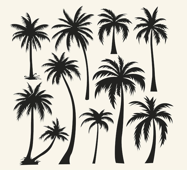 Vector illustratie van het silhouet van de palmbomen