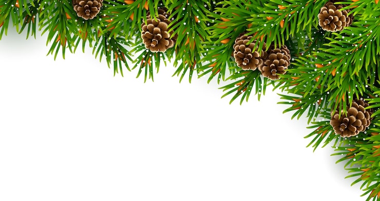 Kerstspar frame met dennenappels vector