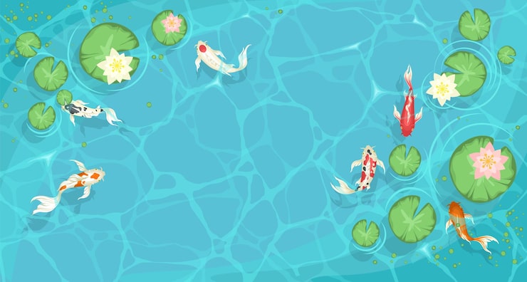 Vector コイ魚が泳いでいる湖の上の背景
