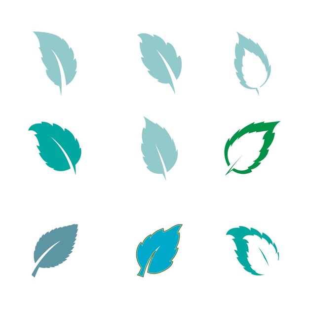Vector mint leaf logo vector sjabloon symbool ontwerp