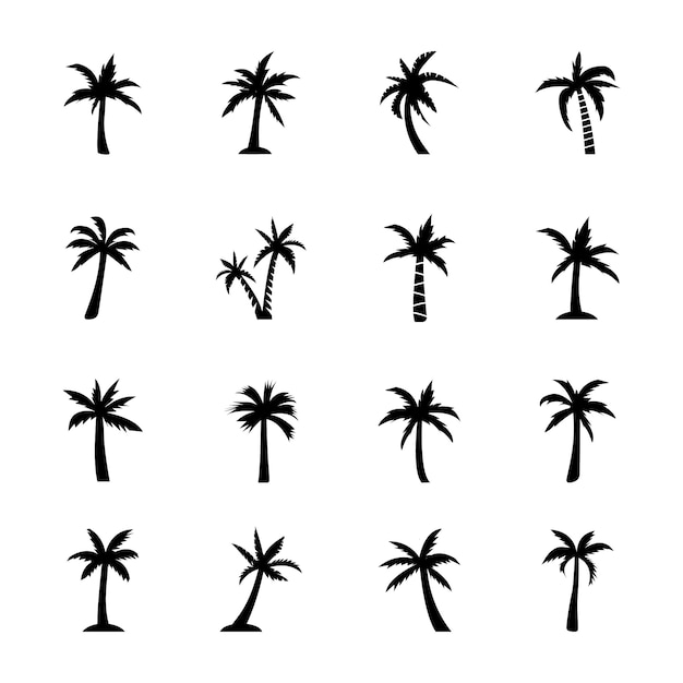 Vector palm plant pictogrammen