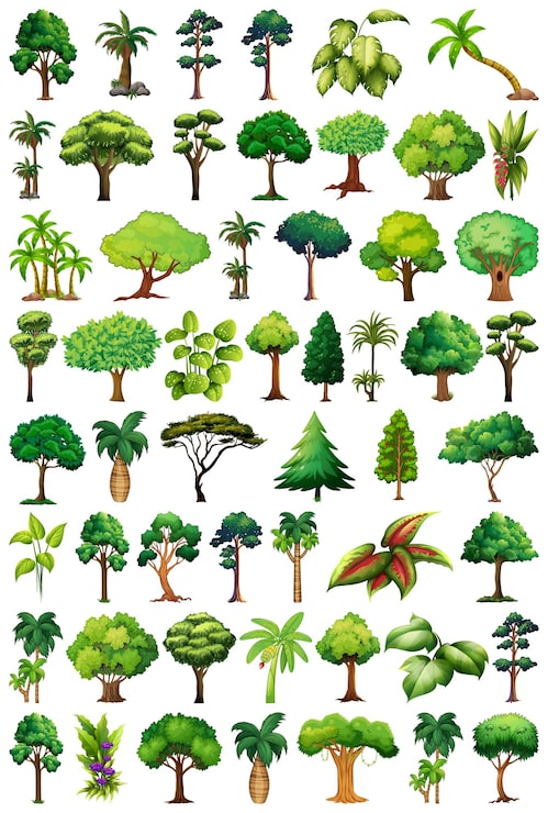 Vector 品種植物和樹木的集合