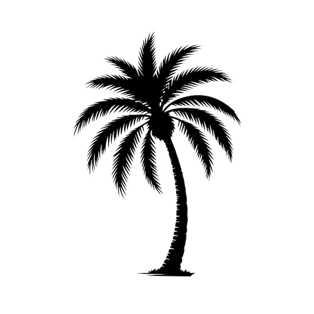 Vector silhouet van een palmboom