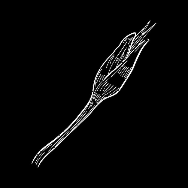 Vektor illustration af plante