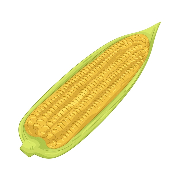 Vektor majs illustration