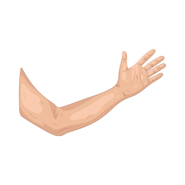 Vektor arm illustrasjon