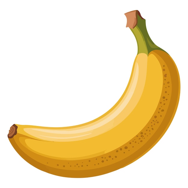 Vektor moden bananillustrasjon
