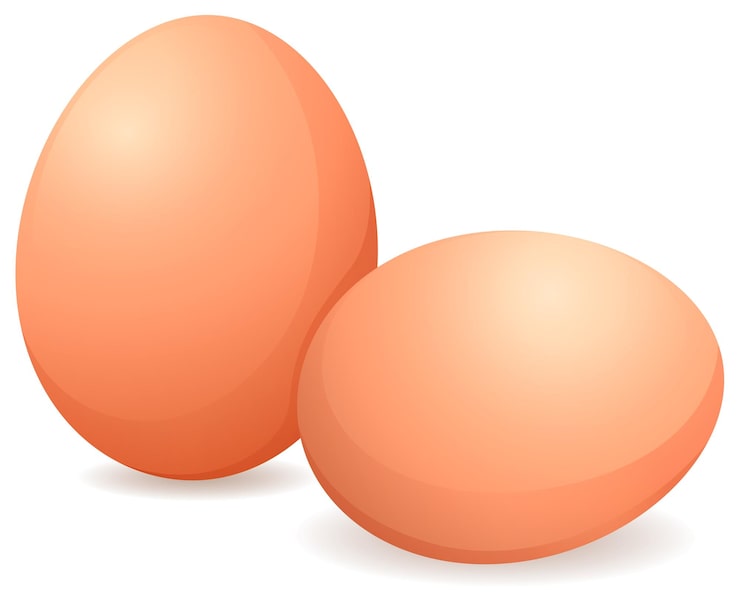 Vektor to oransje egg med ett der det står «egg» nederst