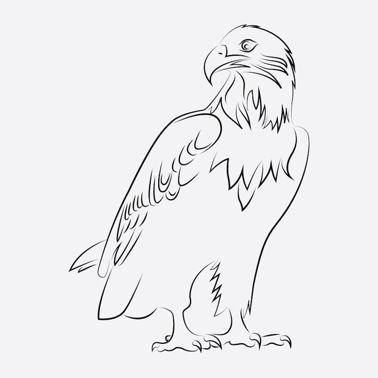 Wektor grafika liniowa ptaka orła