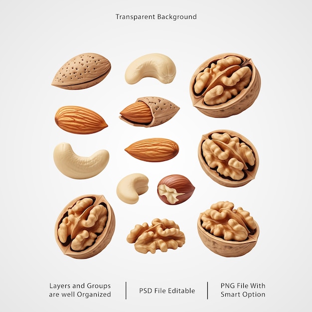 PSD 3d nut assortment elements set