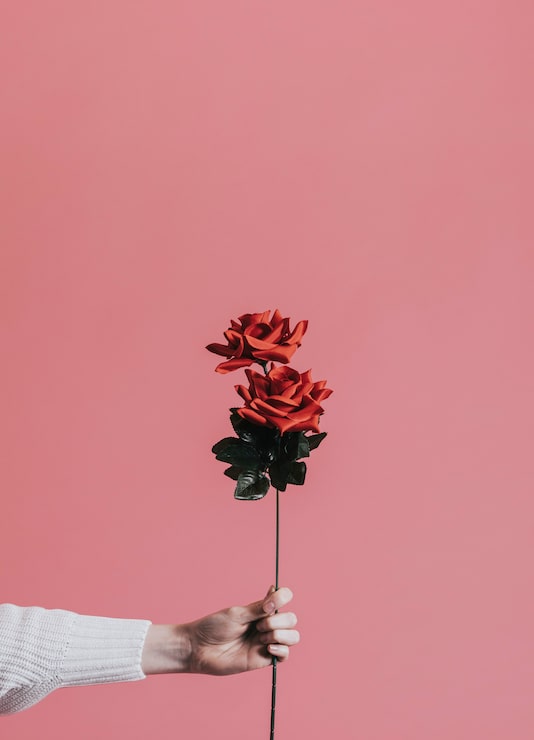 PSD gratuito dando una rosa para el día de san valentín