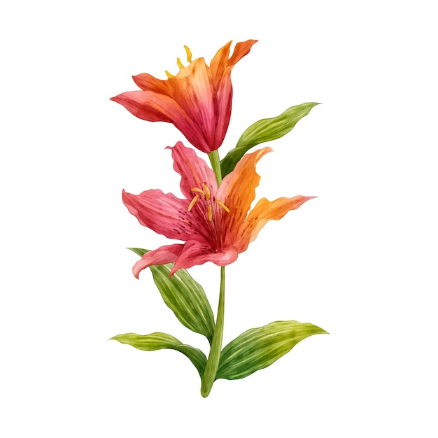 PSD Gratis desain bunga botani