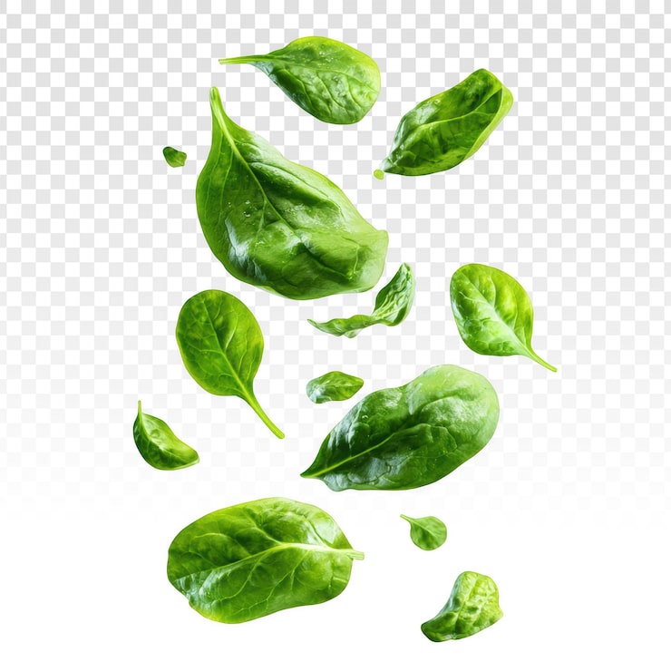 PSD gratuito foglie di spinaci fresche e verdi che galleggiano su sfondo trasparente
