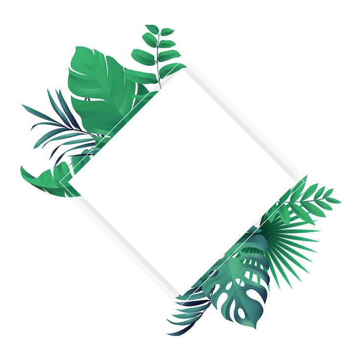 PSD gratuito hojas aisladas de palmeras tropicales
