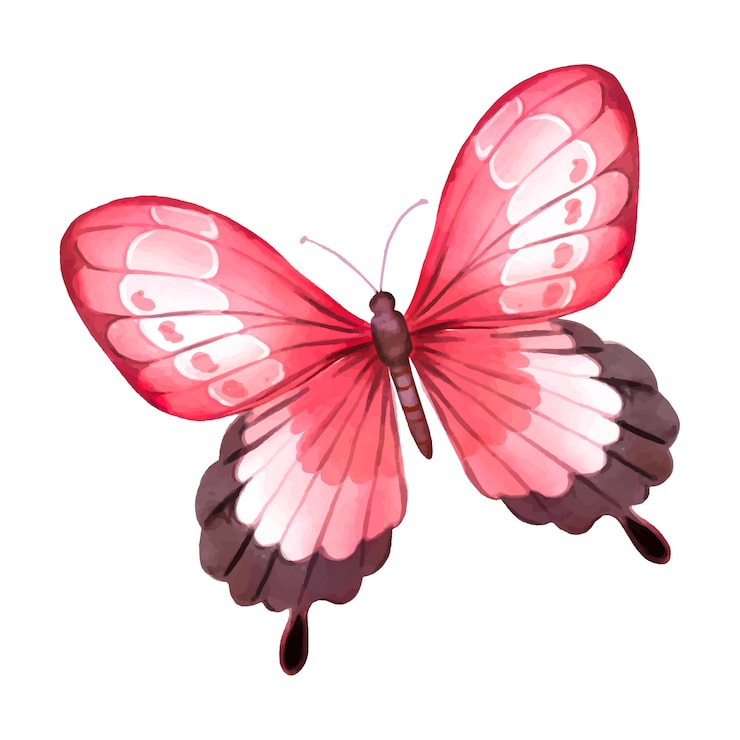 PSD gratuito ilustración de mariposas en acuarela