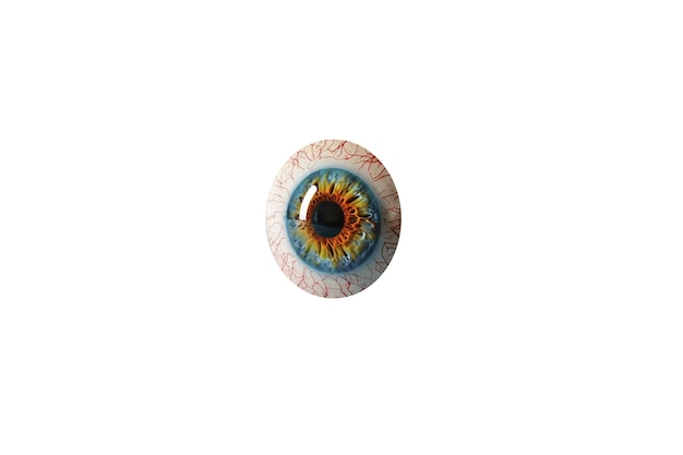 PSD gratuito el iris del ojo aislado