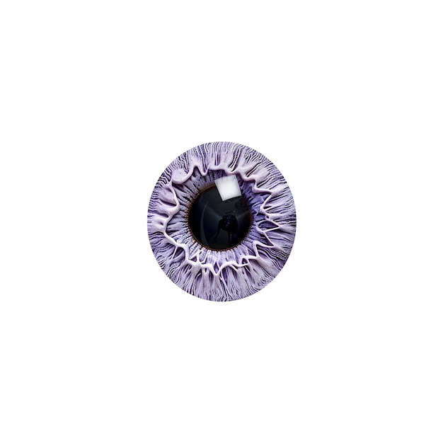 PSD gratuito el iris del ojo aislado
