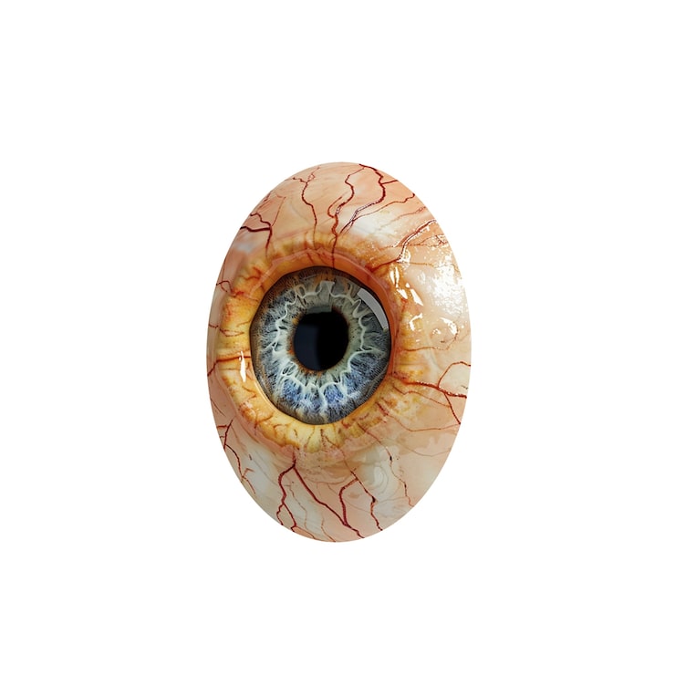 PSD gratuito el iris del ojo aislado