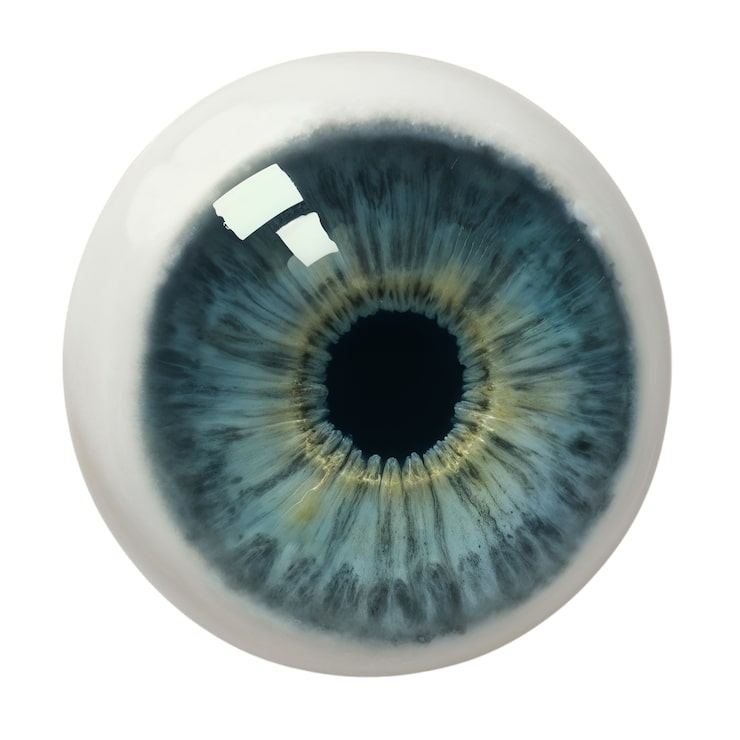 PSD gratuito iris del ojo aislado