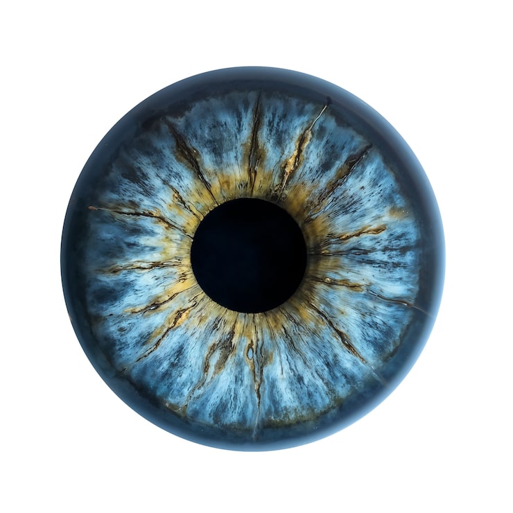 PSD gratuito iris del ojo aislado